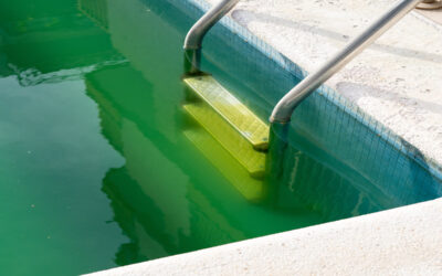 7 Clear Signs Your Pool Needs Professional Cleaning