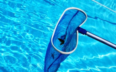 Top Benefits of Professional Pool Maintenance vs DIY